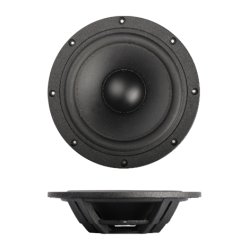 SB29NRX2-00 10" Membrana bierna