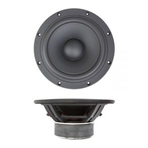 SB29SWNRX-S75-6ohm  SUBWOOFER 10