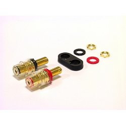 2 polet terminal til amp