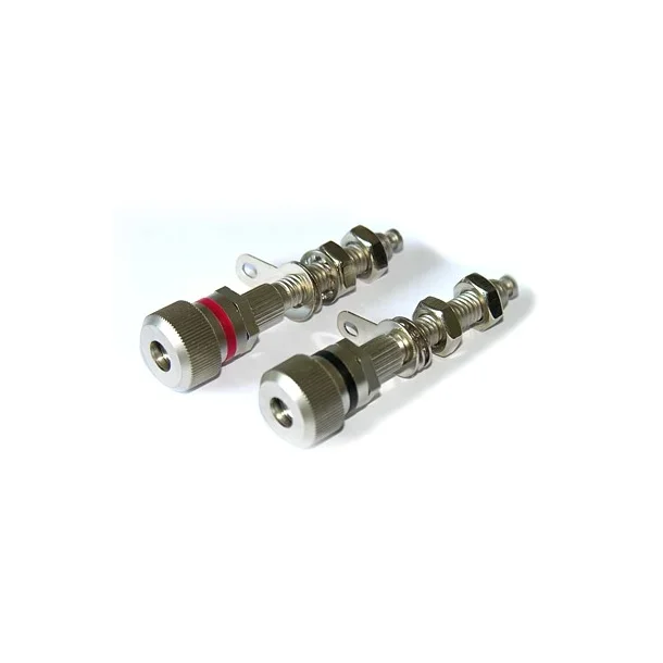  DUAL Subwoofer 2x10"