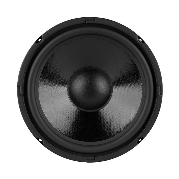 Dayton Audio DC250-8 10" Classic Woofer