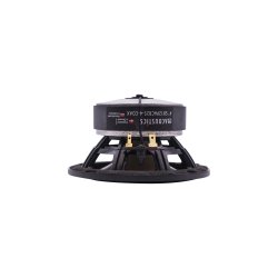 SB12PACR25-4-COAX Coaxial - Woofer