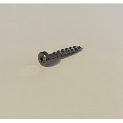 Skruer Torx socket 4 x 25 mm SILVER