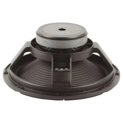 Beyma 12GA50 Full-range Woofer
